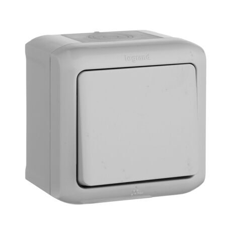 Quteo Серый Переключатель 1-клавишный IP44 10А | 782334 | Legrand